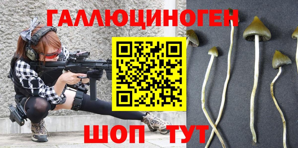Искитим  Псилоцибиновые грибы Psilocybe  закладка  Вход с VPN 